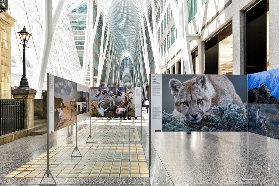 Brookfield Place Toronto